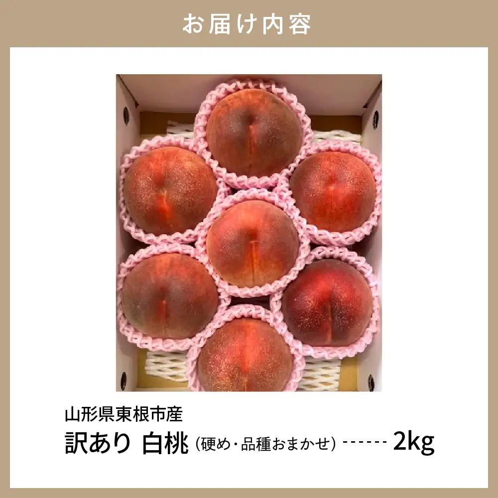 2026年産 訳あり 白桃 ( 硬め ) 品種おまかせ 2kg 白桃