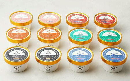 Lit GELATO 定番フレーバー ジェラート 12個セット アイス 詰め合わせ 手作り 人気ジェラート