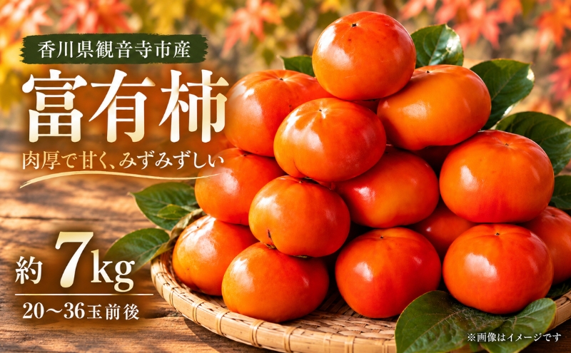 富有柿 約7kg 果物類 フルーツ 柿　 