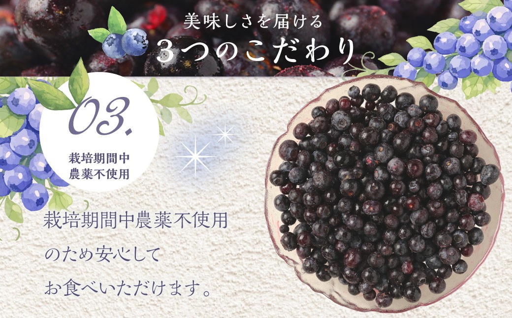九重町産 冷凍 ブルーベリー 約1kg (1kg ×1袋) 