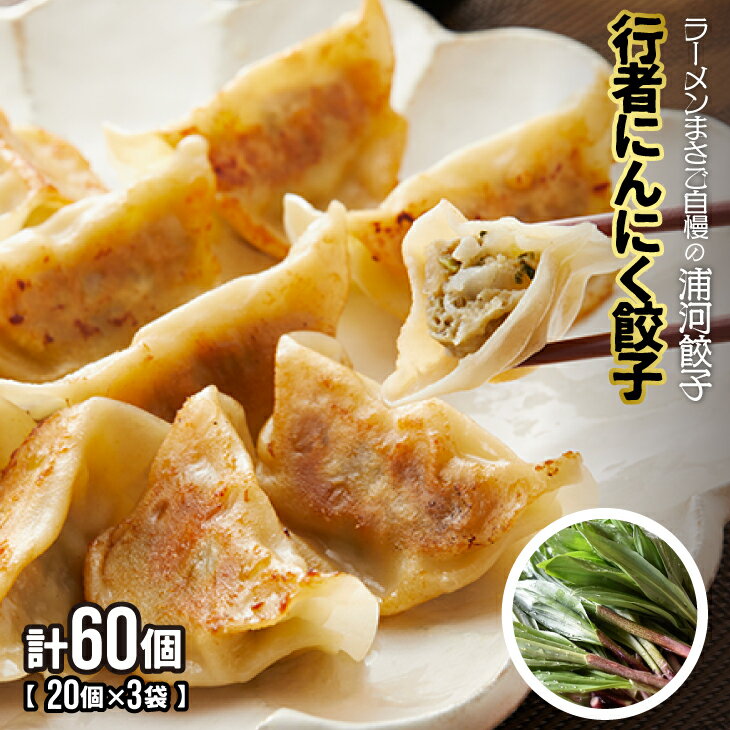 【ふるさと納税】行者にんにく餃子(20個×3袋)[04-617]