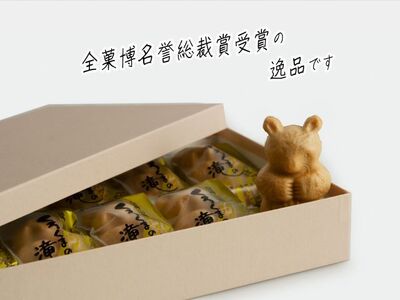 お菓子工房たつや 餅入りつぶあん最中 くろくまの滝10個 和菓子 もなか 