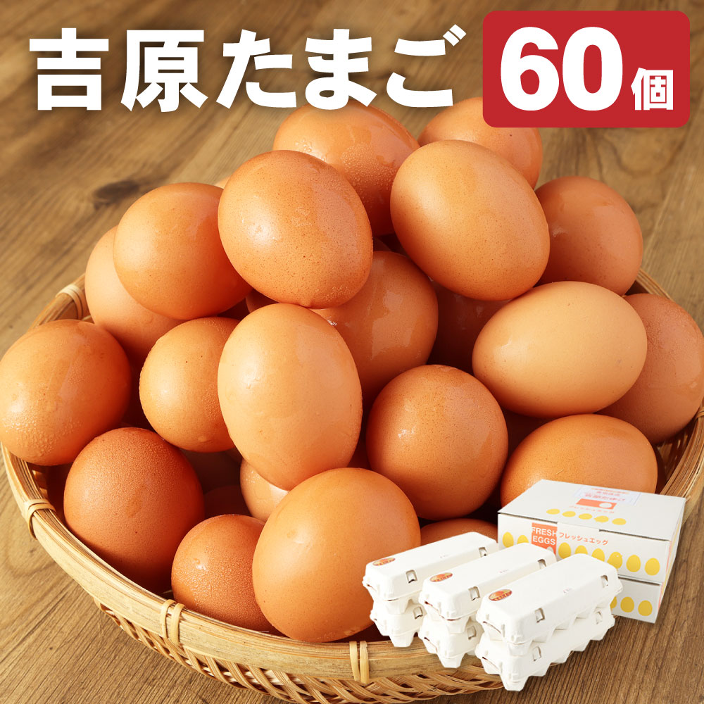 【ふるさと納税】濃厚プレミアム 吉原たまご 2箱 30個×2箱 60個入り 卵 玉子 生卵 鶏卵 茨城県 神栖市 送料無料