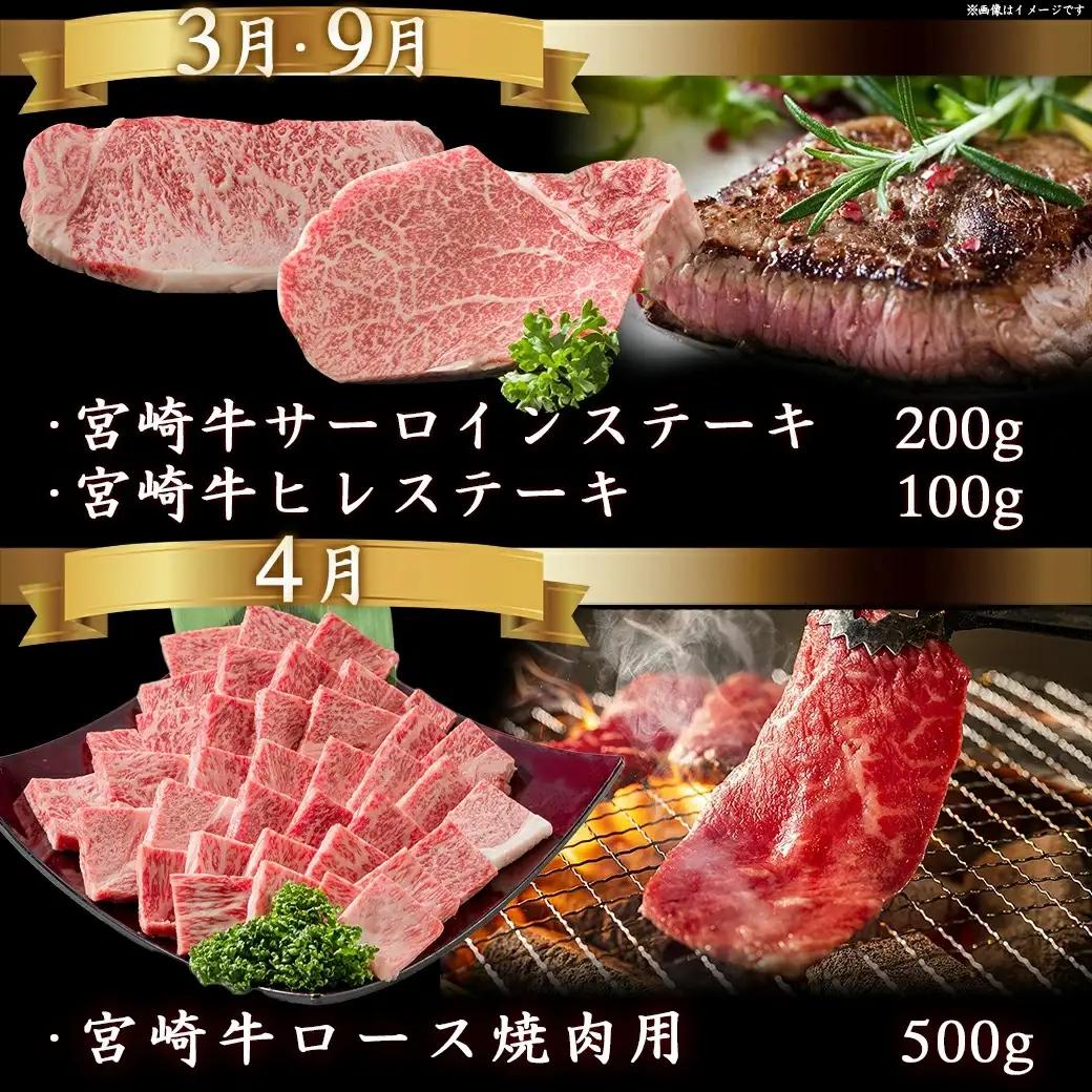 迷ったらコレ!宮崎牛食べ尽くし定期便(10ヵ月)〔T120（10）-0101〕_(都城市)A5 5等級 牛肉 バラ 赤身 サーロインステーキ ヒレステーキ ロース 焼き肉 しゃぶしゃぶ すき焼き スラ