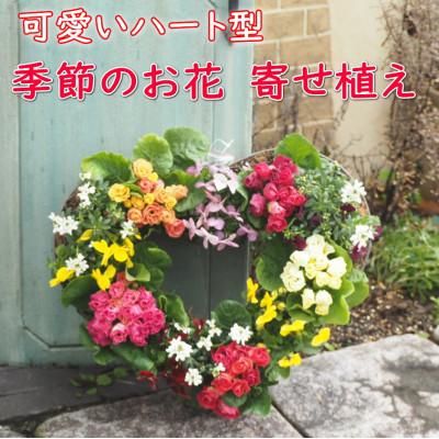 ふるさと納税 朝倉市 可愛いハート型のリースに季節のお花がたくさん　寄せ植え
