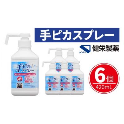 ふるさと納税 松阪市 手ピカスプレー 420mL×6個