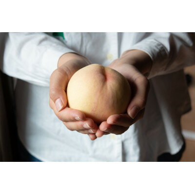 【ふるさと納税】岡山県産「おかやま夢白桃」約2kg|2026年7月下旬以降順次発送予定【1516922】