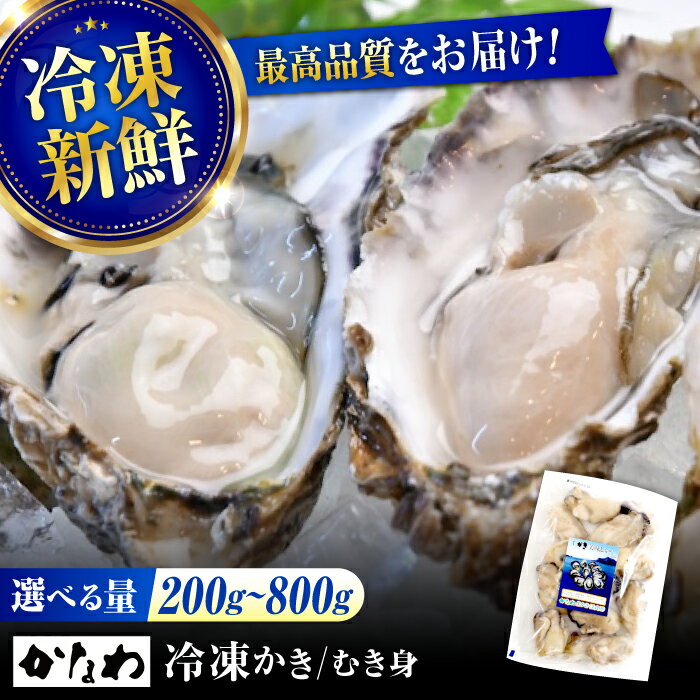 【ふるさと納税】【楽天限定】【選べる発送月・内容量】かなわ 冷凍牡蠣 むき身 200g〜800g 魚介類 和食 海鮮 海産物 広島県産 江田島市/株式会社かなわ[XBP051] 牡蠣 生食 むき身 殻付き かき カキ 生牡蠣 カキフライ 広島牡蠣 楽天限定