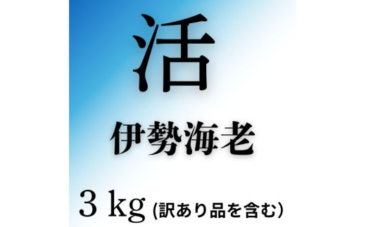 133005 活　伊勢海老（3kg)訳あり品を含む