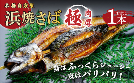 丸ごと浜焼きさば 1本入り [007-a002]