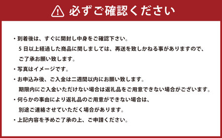 肥後グリーン 1玉 約1.3kg以上 果物 くだもの フルーツ メロン 【2026年6月上旬～2026年6月下旬迄順次発送予定】