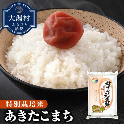 【ふるさと納税】【胚芽米】大潟村産あきたこまち特別栽培米5kg 【令和7年産】【配送不可地域：離島・沖縄県】【1353946】