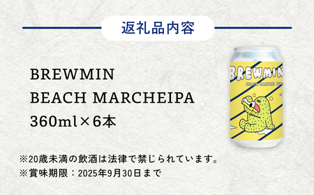 ＜訳あり＞ビーチマルシェビール360ml×6本 ＜賞味期限9月30日＞ クラフトビールビール IPA 富山県 氷見市