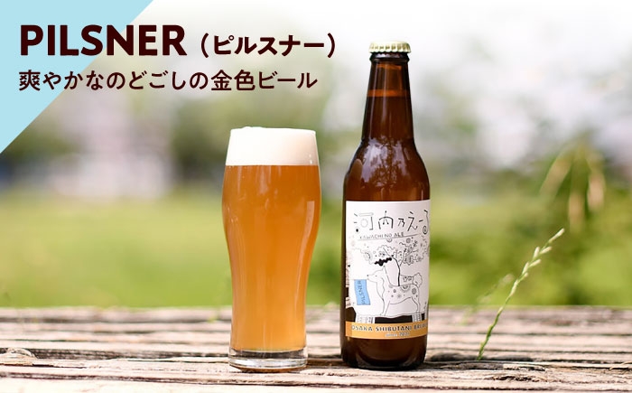 ビール クラフトビール 飲み比べ 詰め合わせ 地ビール 発泡酒 麦酒 びーる 