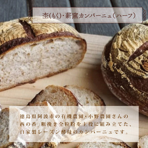 冷凍 パン ハード系 定番 3個 フランスパン カンパーニュ ハード系 パン 全粒粉 パン 天然酵母 パン
