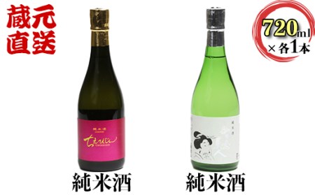 ちえびじん純米酒+智恵美人純米酒 飲み比べセット【中野酒造】＜110-017_7＞