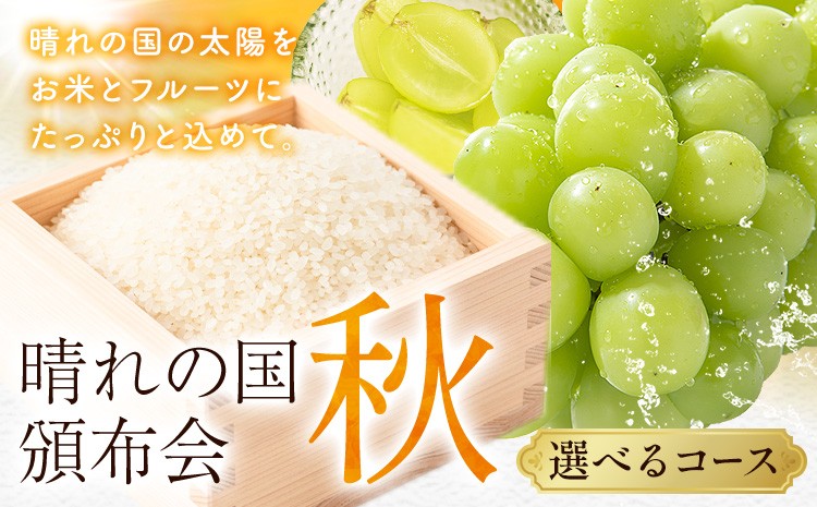 
                  晴れの国頒布会 秋 選べる お届けコース 無洗米 5kg 10kg 20kg シャインマスカット 600g 1.2kg 2kg 《ページ内記載の時期に発送》岡山県 笠岡市 フルーツ 旬 果物 葡萄 ぶどう コメ お取り寄せ
                