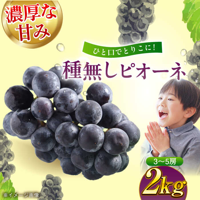 【ふるさと納税】【先行予約】【9月上旬より順次発送】種無し ピオーネ 2kg （3〜5房） | 人気 おすすめ ランキング おいしい 甘い 果物 くだもの フルーツ 大洲市/沢井青果[AGBN014] 10000 10000円 以上