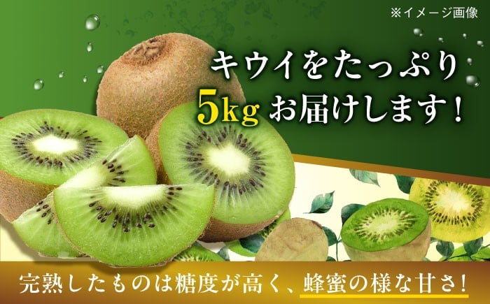 食品 果物 フルーツ キウイ キウイフルーツ きうい キュウイ 南国果物 愛媛県 大洲市 デザート スイーツ 人気