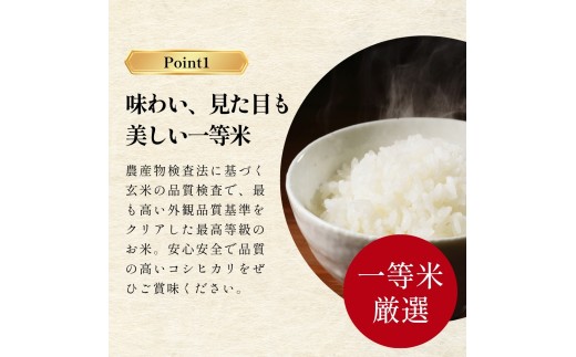 〈スピード発送〉新米 丹波産 〈低農薬 80%減〉特別栽培米 コシヒカリ 20kg（5kg×4袋）精米 丹波市 こしひかり 一等米 特A こめ 米 コメ ブランド米 兵庫県