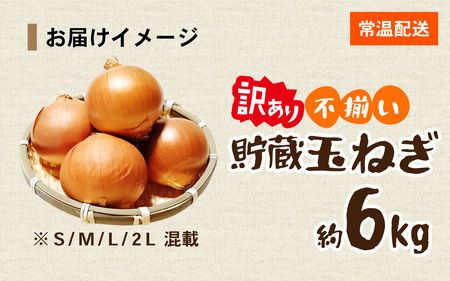 【先行予約】 淡路島 貯蔵玉ねぎ 6kg 訳あり サイズ不揃い 簡易箱でお届け / 玉ねぎ