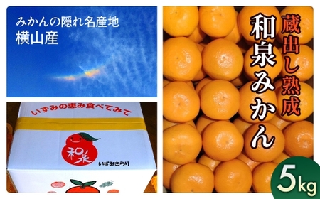 隠れ名産地　蔵出し熟成和泉みかん(中玉・大玉サイズミックス)5kg【1499001】