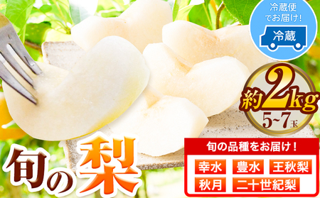 梨 幸水 豊水 約2kg 5~7玉 青空市きらり《8月中旬から12月中旬頃に出荷予定》岡山県 矢掛町 なし 幸水梨 豊水梨 あきづき 二十世紀梨 王秋梨 お中元 梨