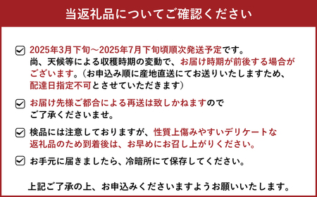 訳あり 河内晩柑 8kg【2025年3月下旬から2025年7月下旬発送予定】晩柑 ジューシーオレンジ 果物 フルーツ 規格外 不揃い