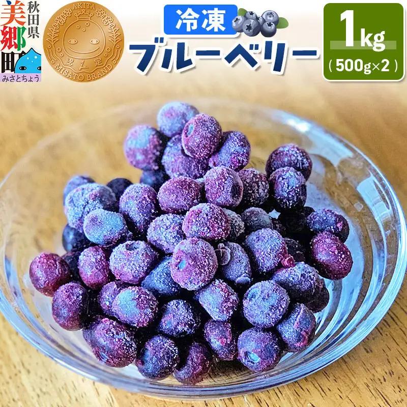 くろかわ農園 冷凍ブルーベリー 1kg（500g×2パック） 秋田県美郷町