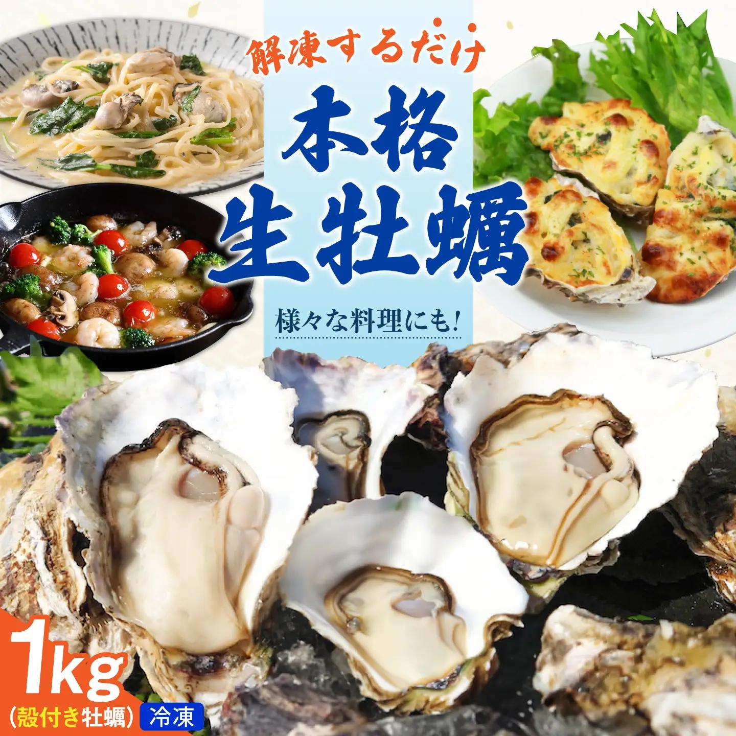 冷凍牡蠣 殻付き 1kg [XAO064]