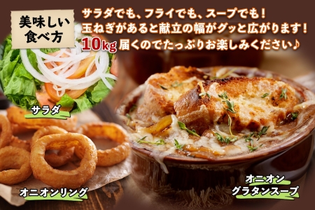 《期間限定》北海道 士幌産 たまねぎ 玉ねぎ タマネギ 玉ネギ 玉葱 10kg (2025年12月発送予定)  採れたて オニオン 旬の野菜 期間限定 新鮮 野菜 産地直送 産直 お取り寄せ 送料無料