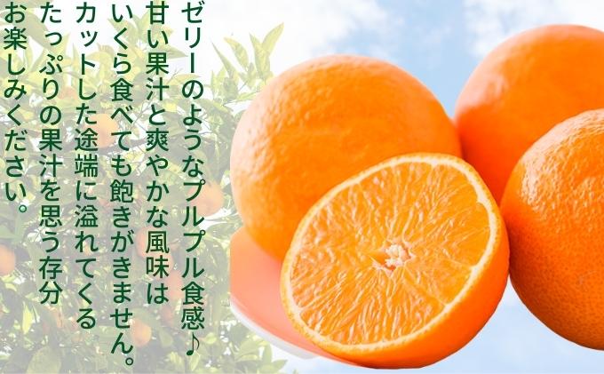 「栗林農園」素のままパスタソースとトマトベリーと紅まどんなのセット