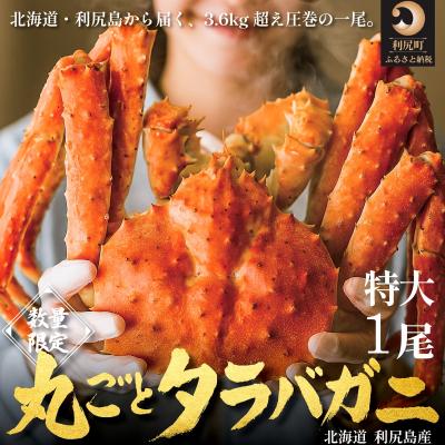 ふるさと納税 利尻町 北海道利尻島産 タラバガニ 丸ごと1尾 3.6kg以上 冷凍ボイル[1110009]