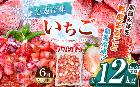 【栃木県共通返礼品】【定期便6回】冷凍いちご 2kg | いちご とちあいか 冷凍 冷凍イチゴ スイーツ ジャム スムージー たっぷり 大粒  甘い 美味しい 果物 デザート 栃木県 那珂川町 送料無料