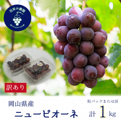 【2026年先行受付】岡山　花笑み農園の 『訳ありニューピオーネ』1kg　WP-1【配送不可地域：離島】