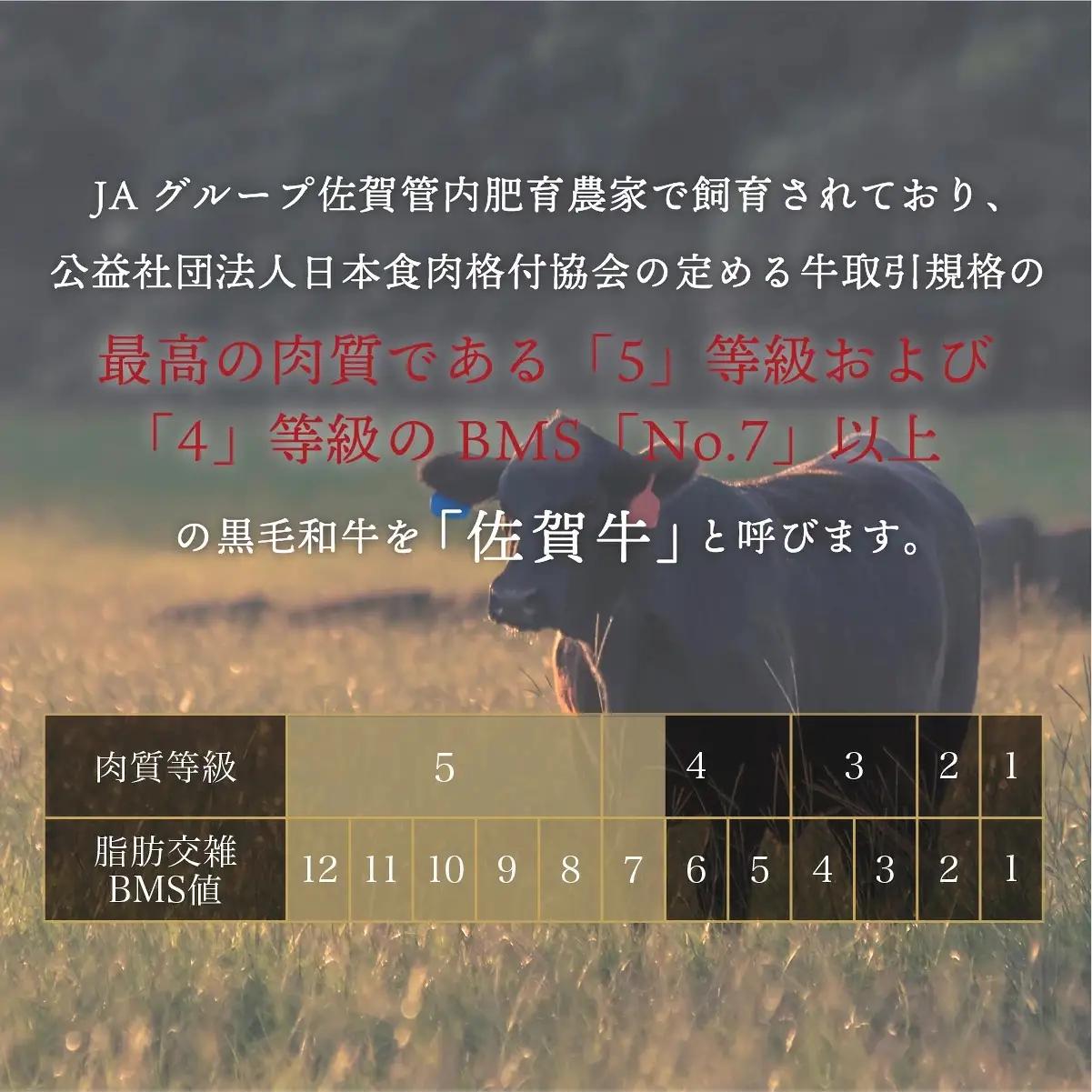 ＜定期便3回＞佐賀牛ハンバーグ 計2.7kg (150g×6個×3回)