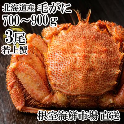 ふるさと納税 根室市 根室海鮮市場<直送>ボイル毛がに700〜900g×3尾(若上蟹) D-28066