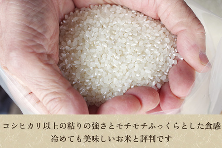 【令和5年産米】【精米】加茂産ミルキークイーン「ミルキー米」真空パック 5kg ミルキークイーン 新潟県産ミルキークイーン 米 お米
