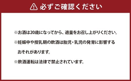 Kiwi Hayward 330ml×3本 お酒 酒 アルコール ビール 地ビール キウイ フルーツビール クラフトビール
