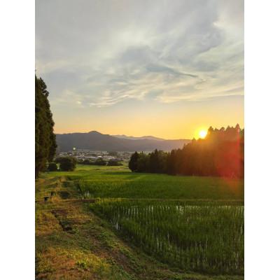 ふるさと納税 若狭町 有機JAS認証こしひかり　白米10kg
