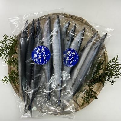 ふるさと納税 熊野市 さんま丸干し 20本 魚作商店 3代目の丸干し製法 |  | 01