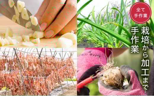 HKNID ひかりのにんにくチップ360gセット(15g×12袋・60g×3袋)【一般社団法人ひかり】