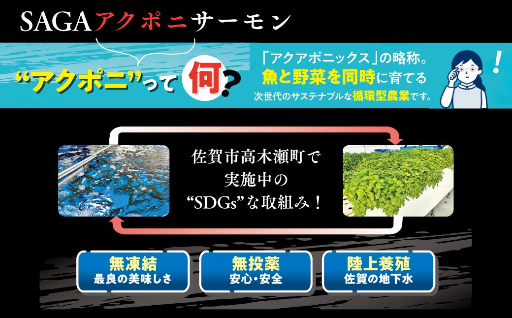 佐賀から未来へ！SAGAアクポニサーモン 1kg 100g×10P カット済 刺身 サーモン トラウトサーモン 国産 生食 陸上養殖 高品質 佐賀市産 海鮮 魚介 魚 冷凍 小分け 解凍するだけ 海鮮
