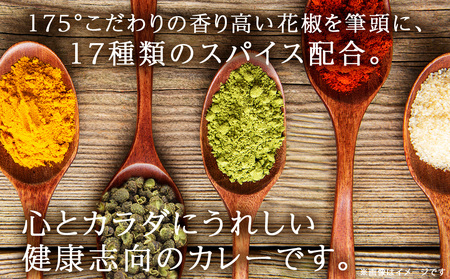 175DENOチキンカレー 10袋（無水カレー180g×10）