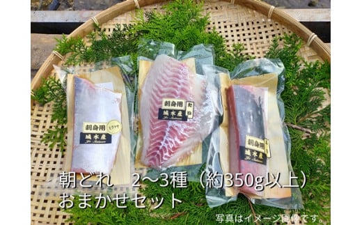 （冷蔵）伊勢志摩産 朝どれ ２～３種 約350ｇ お刺身用 おまかせセット ／ 城水産 ふるさと納税 刺身 魚 切るだけスペック 寄付 おすすめ 鯛 鰤 たい ブリ 新鮮 真空チルド 三重県 南伊勢