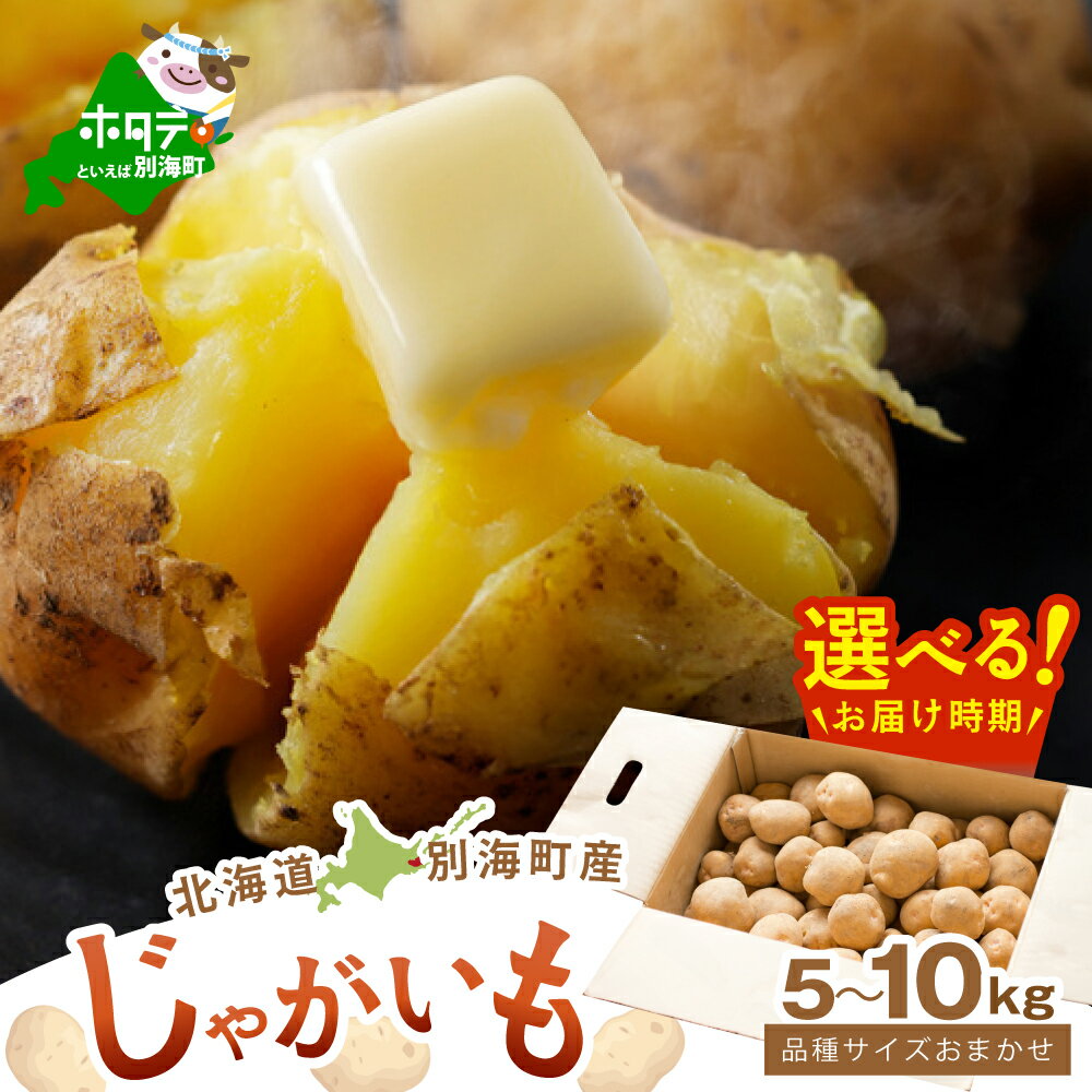 【ふるさと納税】 じゃがいも 5kg ～ 10kg 【選べる内容量】 北海道 別海町産 品種おまかせ サイズ 不揃い （ きたあかり 男爵 メークイーン レッドムーン ）（ ふるさと納税 ジャガイモ 訳あり 不揃い 規格外 ふるさと 芋 いも 人気 ランキング 別海町 ）