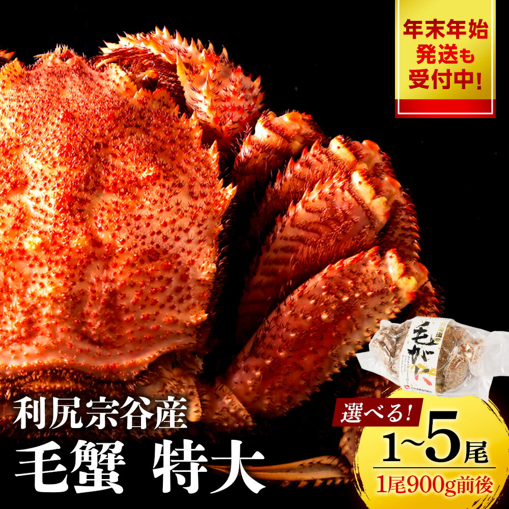 【ふるさと納税】【新物予約開始】 毛ガニ 北海道 利尻・宗谷産 毛ガニ 特大サイズ（900g前後） 選べる1尾〜5尾 ＜利尻漁業協同組合＞北海道ふるさと納税 利尻富士町 ふるさと納税 北海道 海鮮 カニ 蟹 毛ガニ 毛蟹 蟹みそ 毛ガニ 濃厚 蟹棒 蟹甲羅 おせち