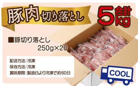 ＜2025年11月発送分＞宮崎県産 豚肉切り落とし 250g×20パック 合計5kg