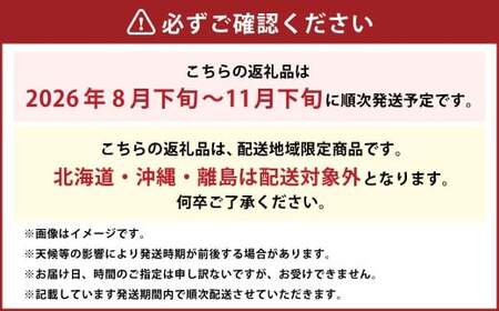 ご家庭用 シャインマスカット 晴王 約400g×1房 【2026年8月下旬～11月下旬迄発送】 ／ マスカット 葡萄 ぶどう 果物 果実 フルーツ 種なし 皮ごと 大粒 家庭用 岡山県 美咲町 冷蔵