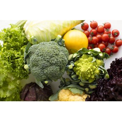 ふるさと納税 江別市 北海道江別産　季節の彩り野菜セット　M|Ambitious Farm